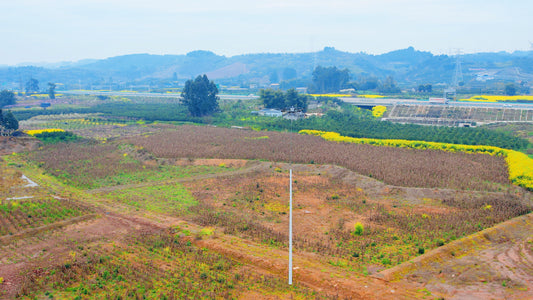 Fiberglass wire poles/towers/streetlight poles/fiber optic poles