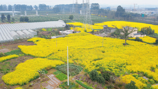 Fiberglass wire poles/towers/streetlight poles/fiber optic poles